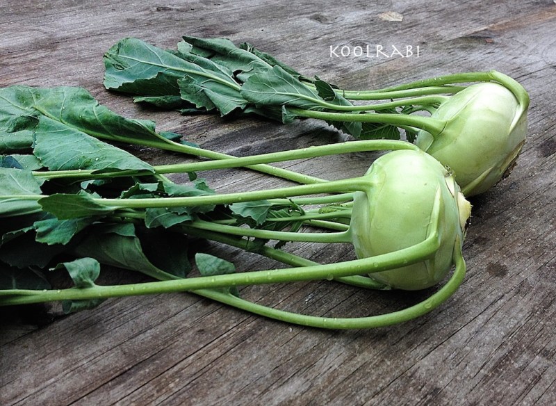 koolrabi