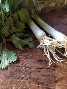Coriander spring onions