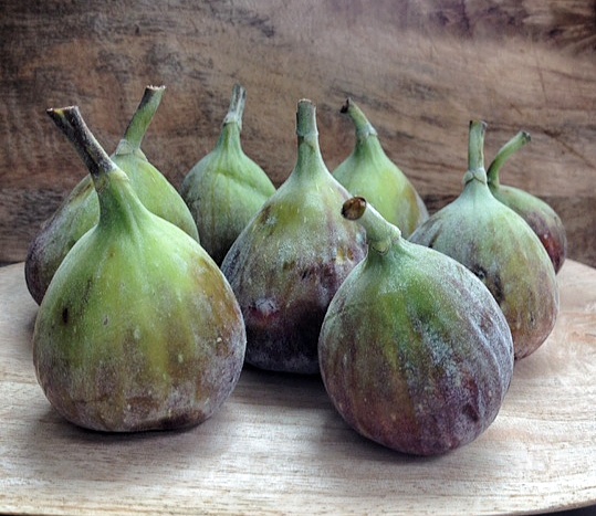 Fresh Figs