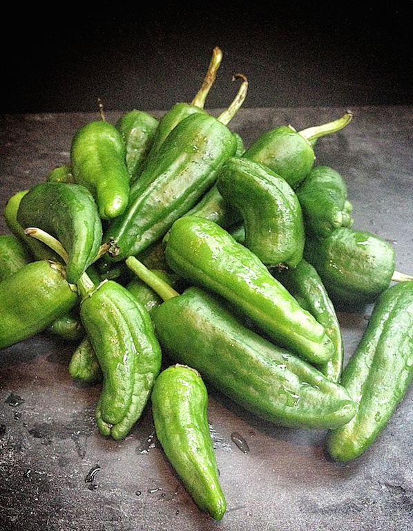 Piementos de Padron 2
