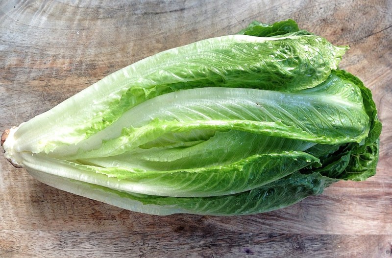 Romaine sla
