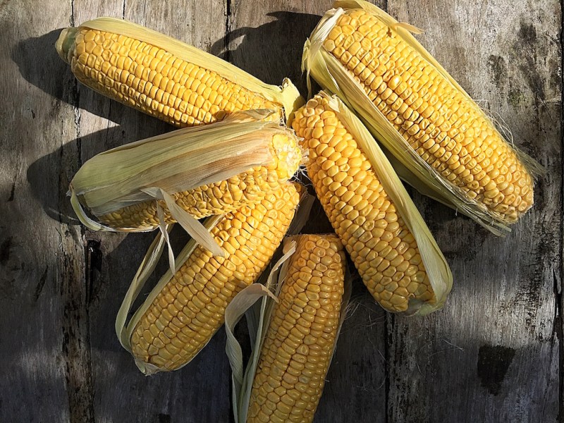 Corn Basket Delights